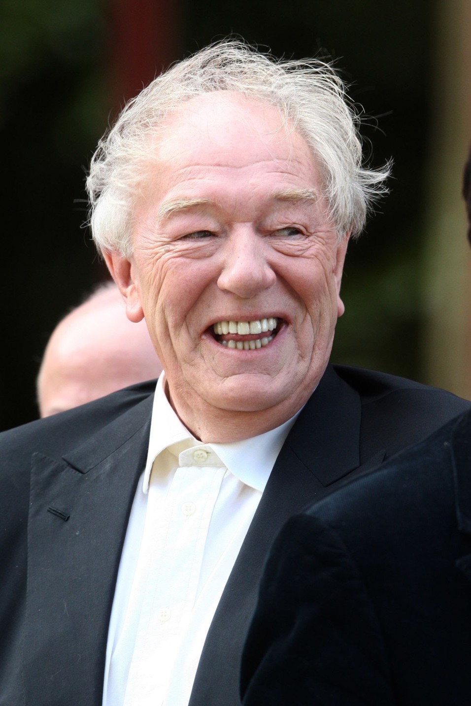 Michael Gambon